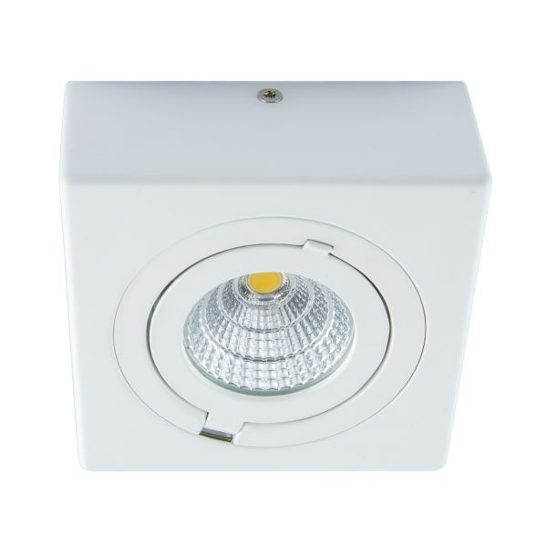 IGOR LED D - Aufbau Deckenspot in weiß - 9 W - Lichtfarbe: neutralweiß