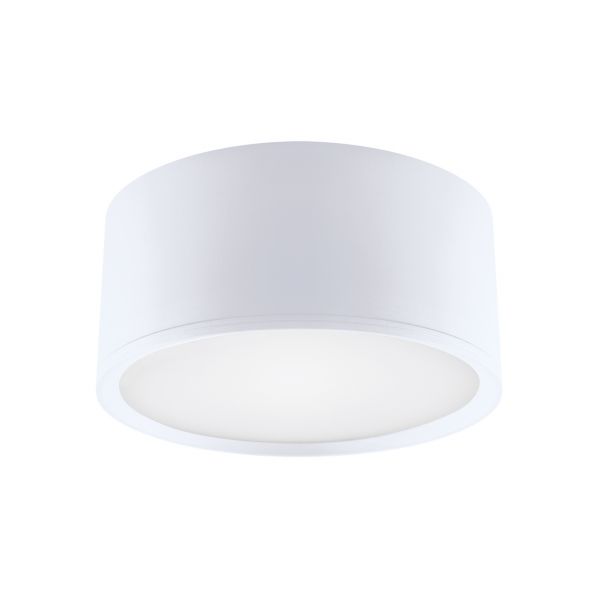 ROLEN LED - Aufbau Deckenspot in weiß - 15 W - Lichtfarbe: neutralweiß