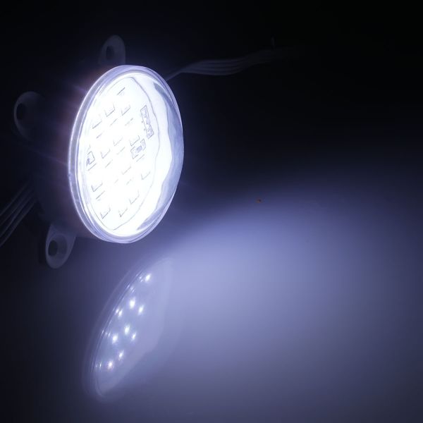 24V wasserfestes LED Modul – weiß – rund – transparente Abdeckung – IP65