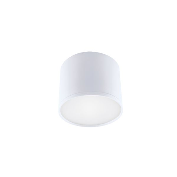 ROLEN LED - Aufbau Deckenspot in weiß - 3 W - Lichtfarbe: neutralweiß